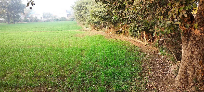 Sewar, Bharatpur, Rajasthan, India preview 3