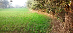 Sewar, Bharatpur, Rajasthan, India preview 3