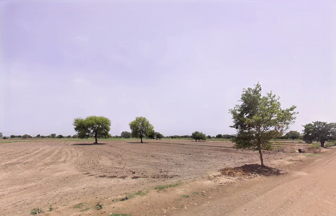 JJJC+X29, Parkham, Uttar Pradesh 281202, India