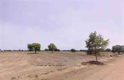 JJJC+X29, Parkham, Uttar Pradesh 281202, India preview 3