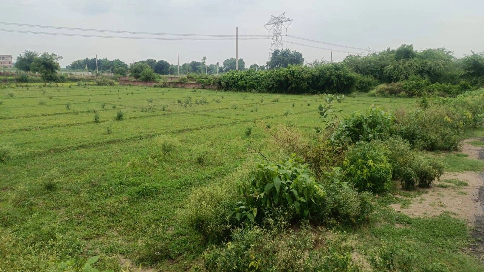 Khekada, Baghpat, Uttar Pradesh, India - Photo 2