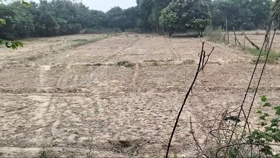 WQCJ+83Q, Malihabad, Uttar Pradesh 226102, India