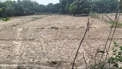 WQCJ+83Q, Malihabad, Uttar Pradesh 226102, India preview 3