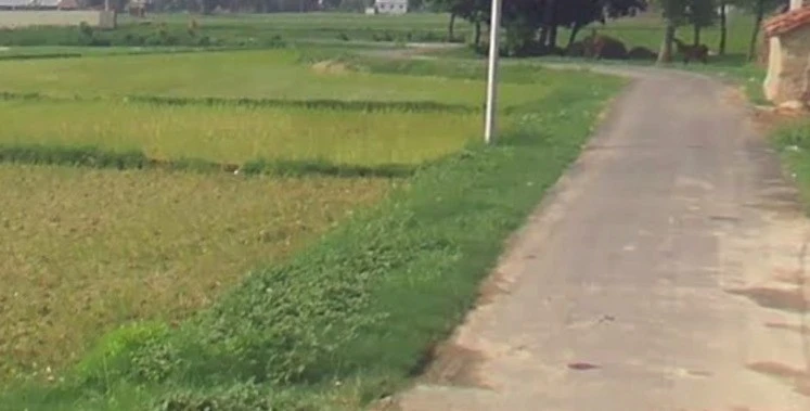 Borda, Madhya Pradesh, India