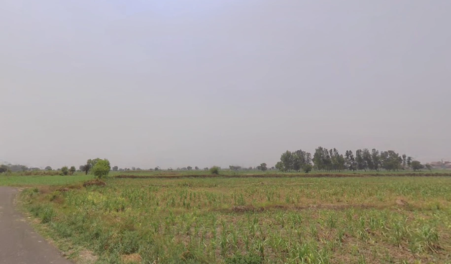 Mohiuddinpur, Uttar Pradesh 250205, India