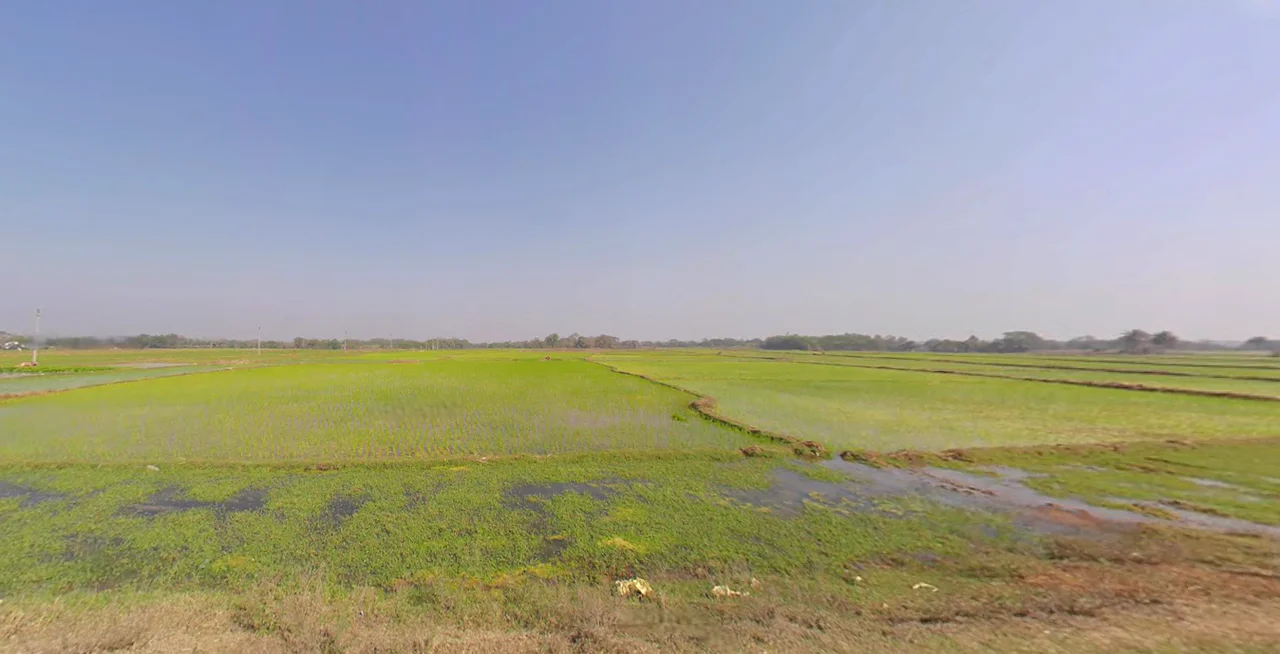 Station Rd Manikpara, Dhadkinala, West Bengal 721513, India preview 2