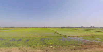 Station Rd Manikpara, Dhadkinala, West Bengal 721513, India preview 2