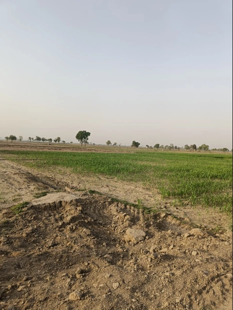 Barnagar, Madhya Pradesh 456771, India