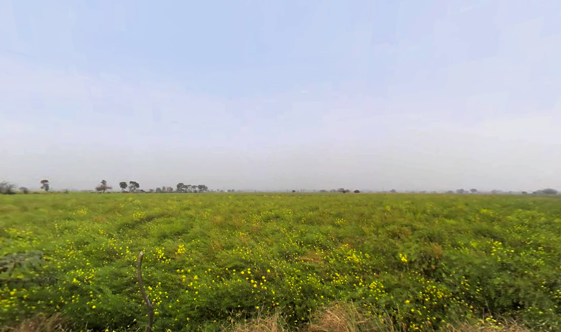 Ugalan, Haryana 125038, India
