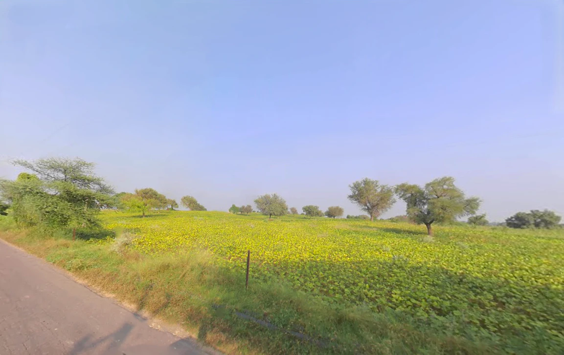 Siwani, Haryana 127046, India