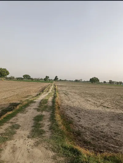 Kothun, Rajasthan 303901, India preview 3