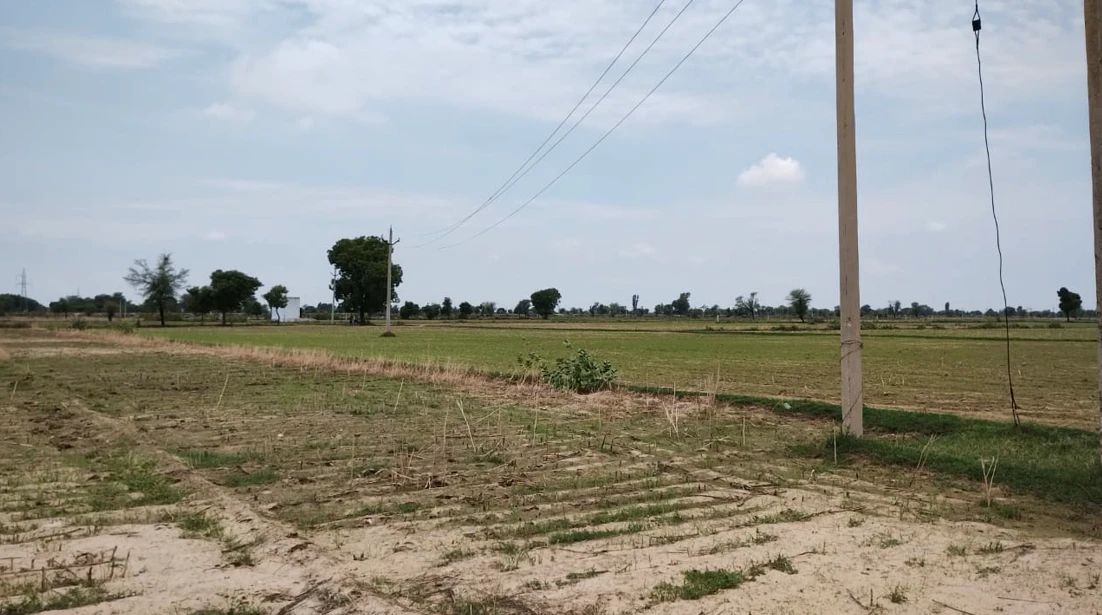 Barnagar, Madhya Pradesh 456771, India