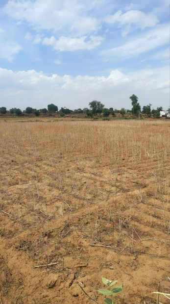 7RJP+56 Jaithal, Madhya Pradesh, India