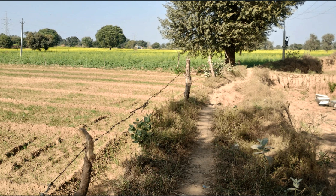 Patran, Patiala, Punjab 147105, India