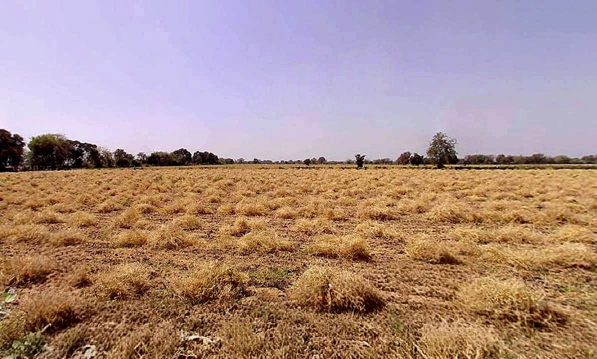 Phulra, Madhya Pradesh 475661, India