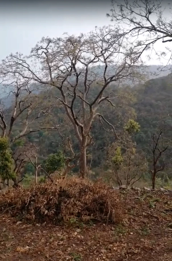 Morni Hills, Haryana, India
