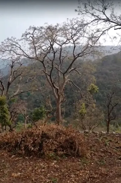 Morni Hills, Haryana, India preview 2