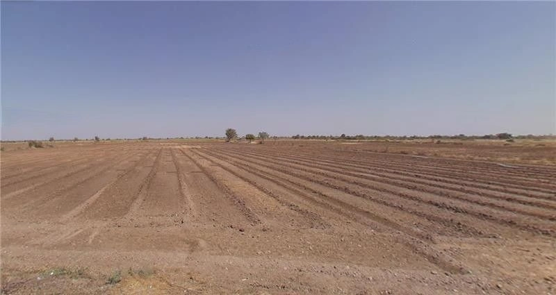 Melaj, Gujarat, India