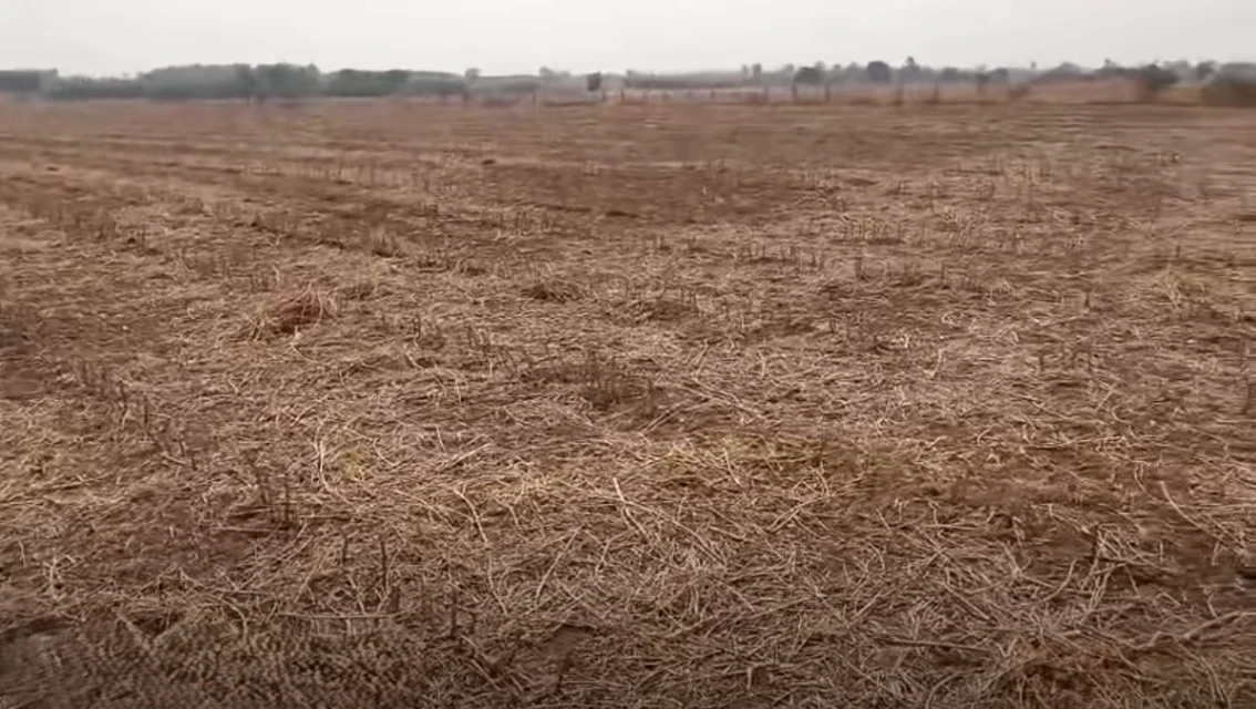 Penukonda, Andhra Pradesh, India