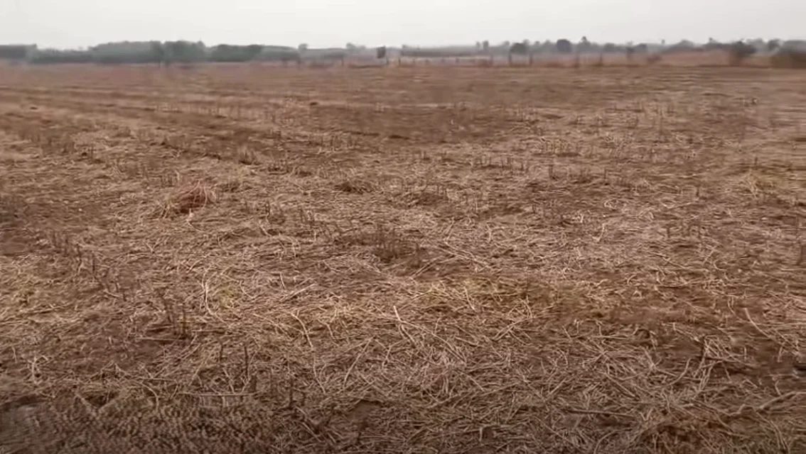 Penukonda, Andhra Pradesh, India preview 3