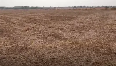 Penukonda, Andhra Pradesh, India preview 3