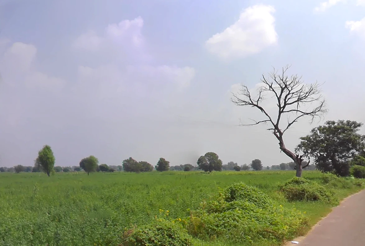 Siwani, Haryana 127046, India