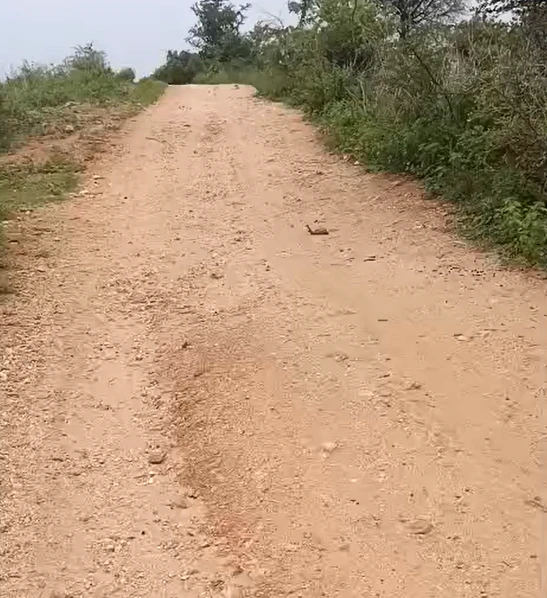 G9XC+XP Yadireddypally, Nagarkurnool, Telangana, India