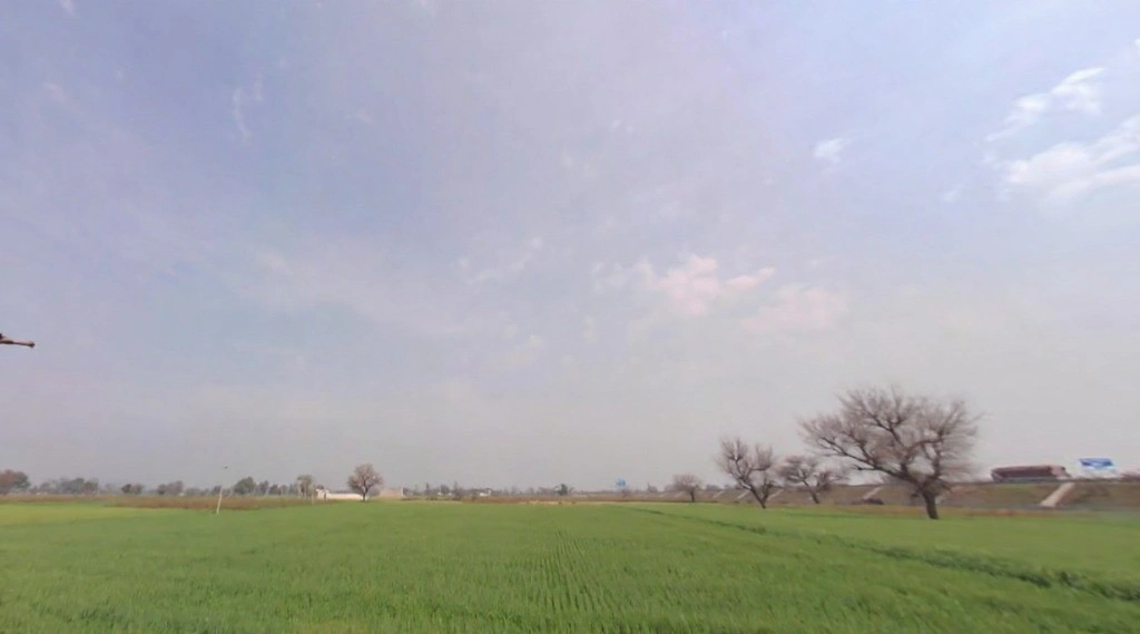 Butyana, Rajasthan 301021, India