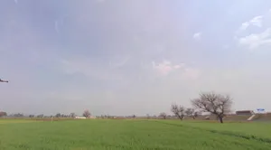 Butyana, Rajasthan 301021, India preview 2
