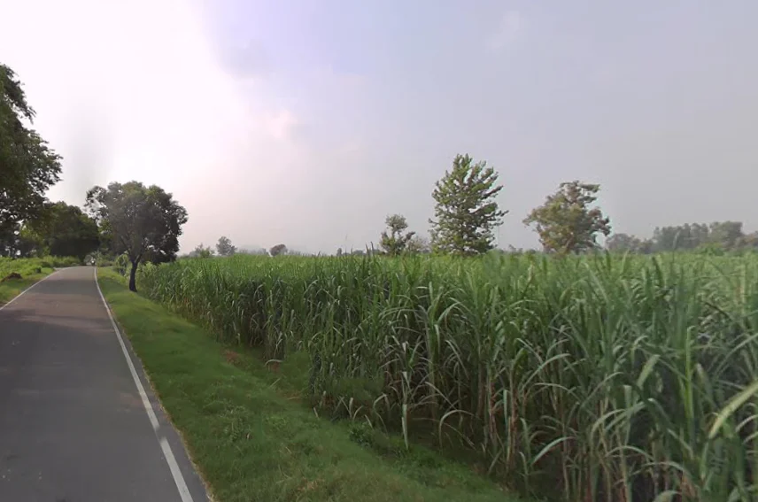 Sardhana, Uttar Pradesh 250342, India preview 3