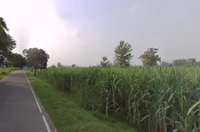 Sardhana, Uttar Pradesh 250342, India preview 3