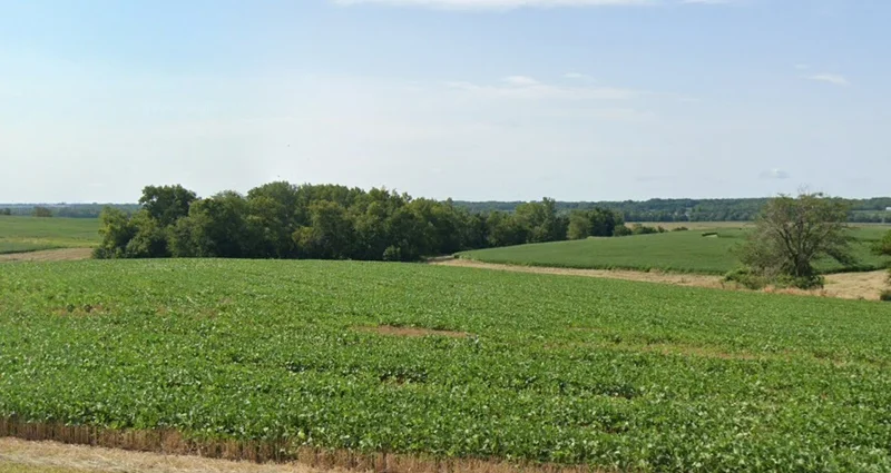 Malpur Mal., Madhya Pradesh 481879, India preview 3