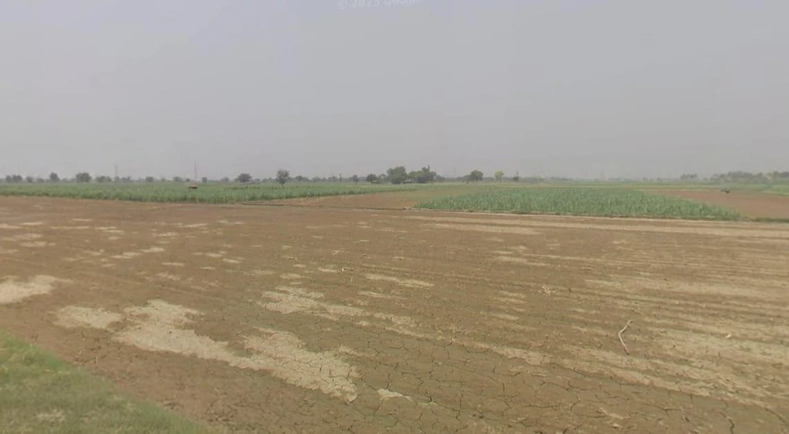 Sankheda, Madhya Pradesh 466665, India