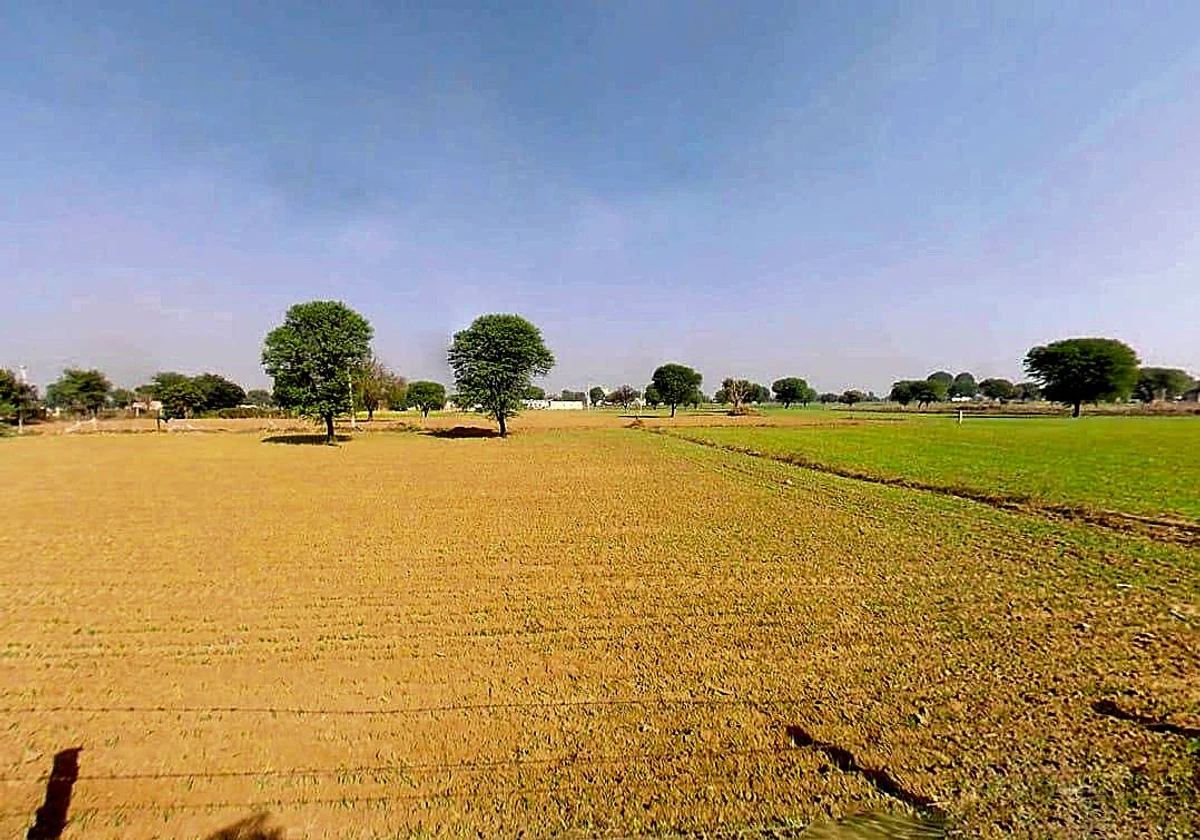 Sargoth, Rajasthan 332404, India