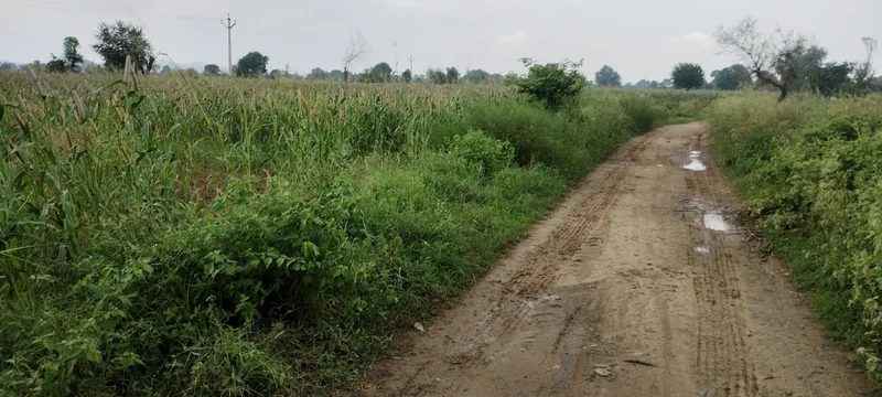 Bedha, Rajasthan 301021, India preview 2