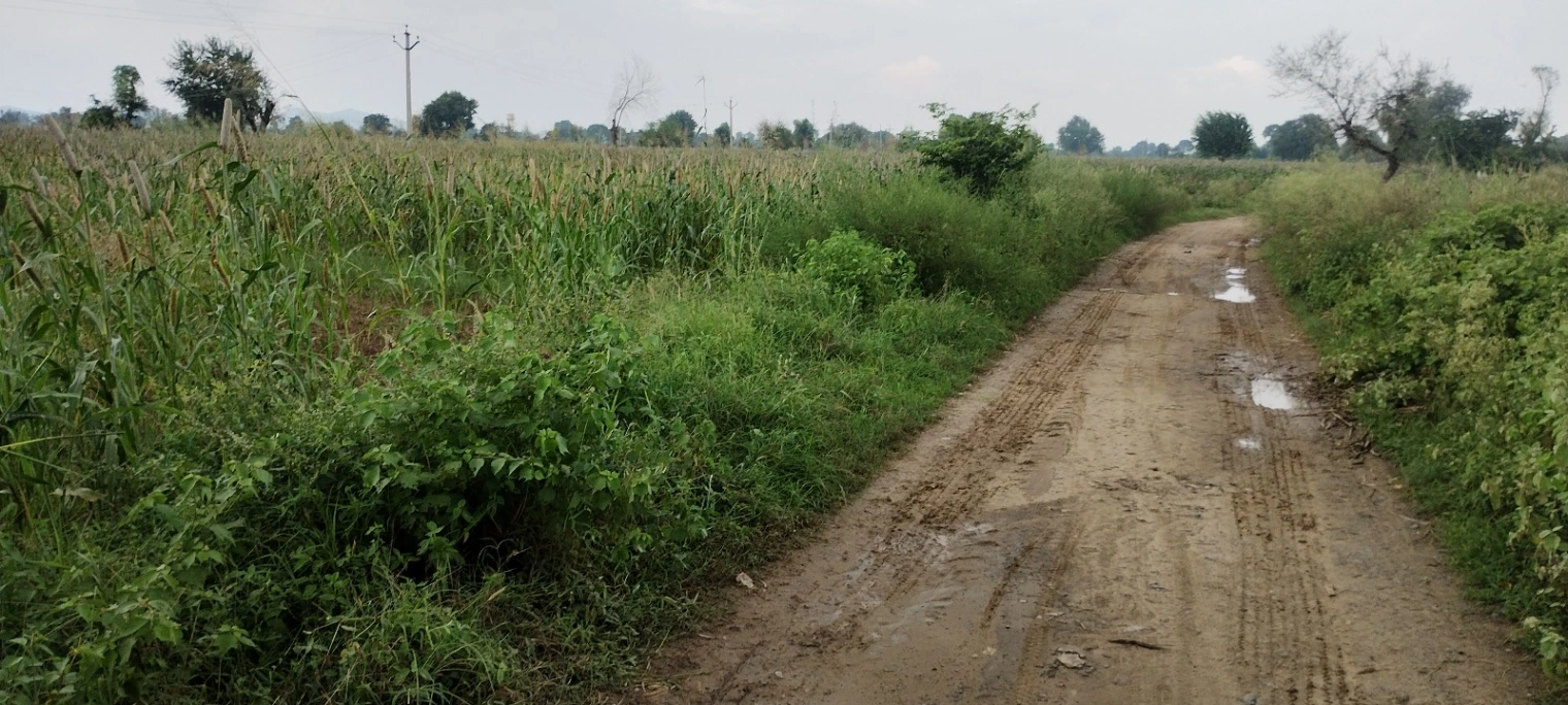 Bedha, Rajasthan 301021, India