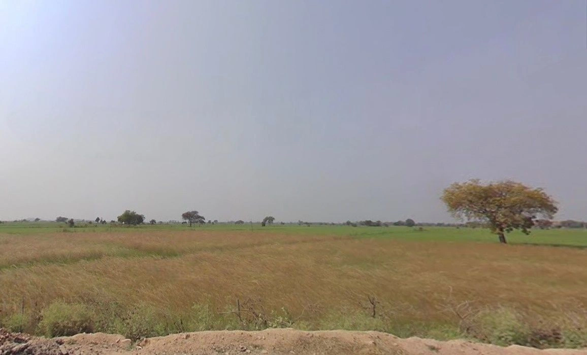 Basondi, Madhya Pradesh 475220, India
