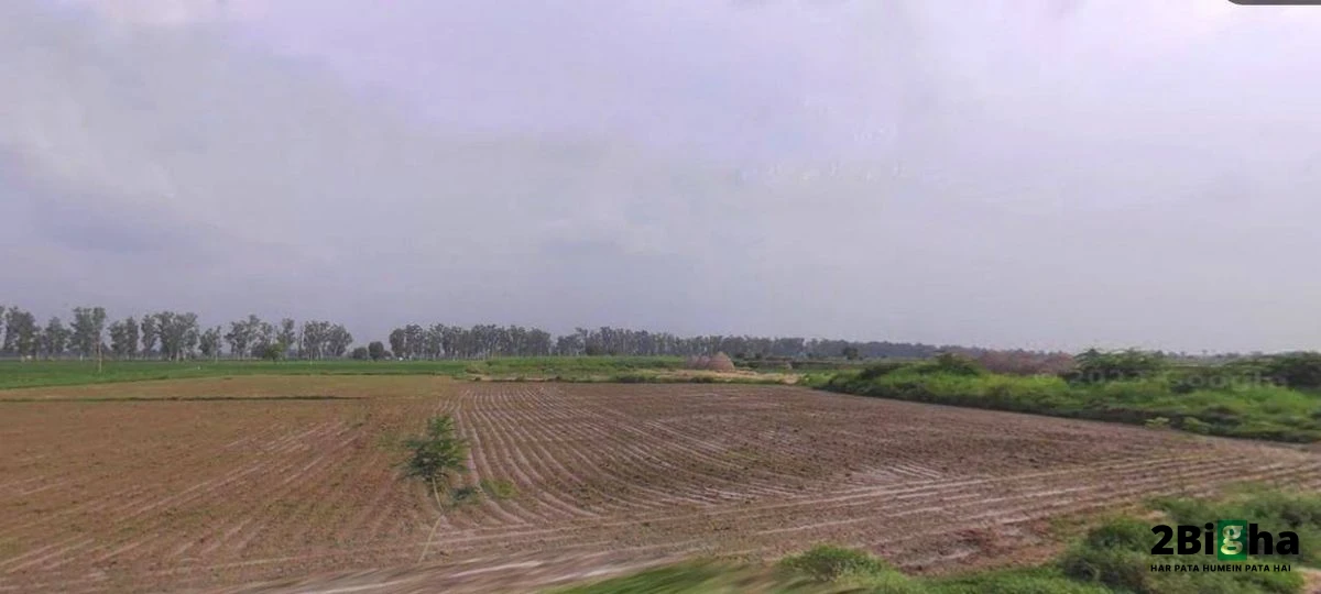 Assandh, Haryana 132039, India