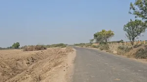 82JF+XMC, Solgam, Gujarat 382130, India preview 2