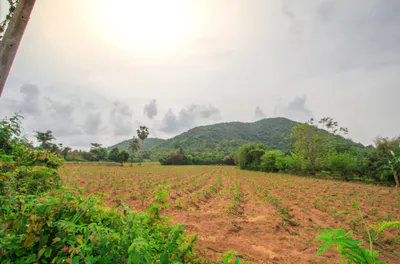 6H64+HH Pithlokhar, Uttar Pradesh, India preview 3