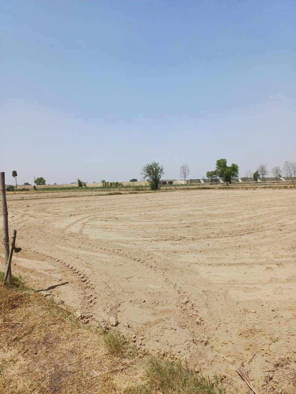 Sardhana, Uttar Pradesh 250342, India