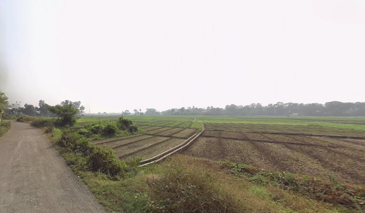 Vedic Village, Kolkata, West Bengal, India preview 3