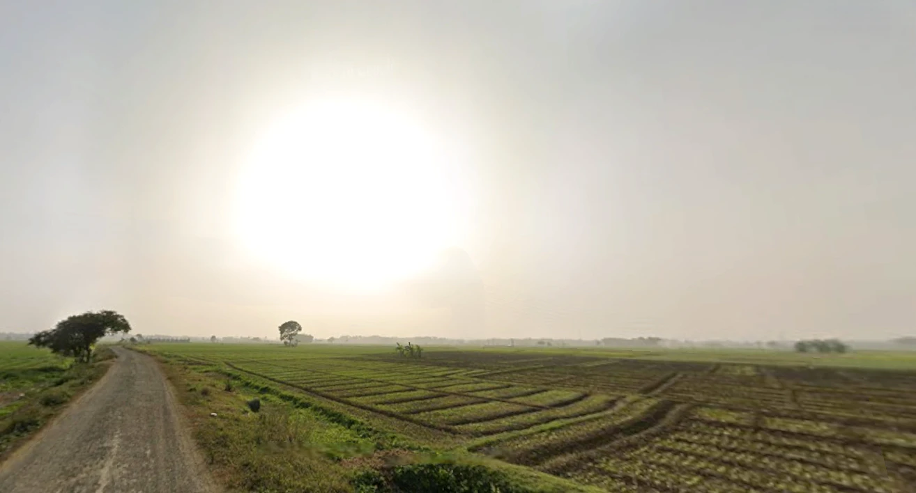 Shikharpur P.O, Bagu, Newtown, Sikharpur, Kolkata, West Bengal 700135, India