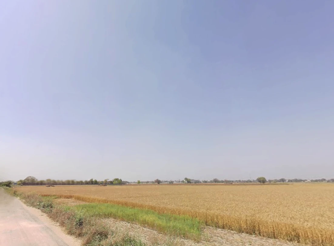 Majri, Haryana 124105, India