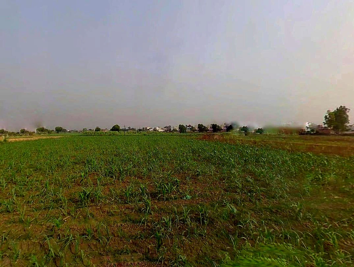 Mawana, Uttar Pradesh, India