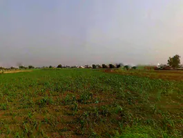 Mawana, Uttar Pradesh, India preview 3