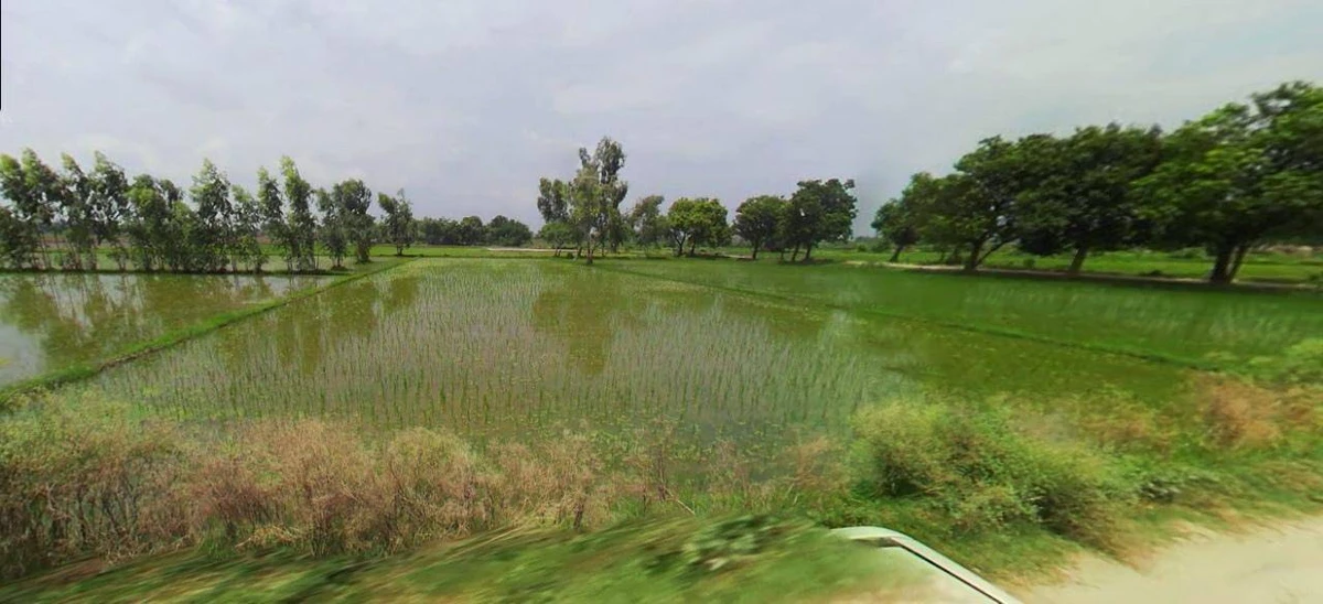 Bijnor, Uttar Pradesh 246701, India