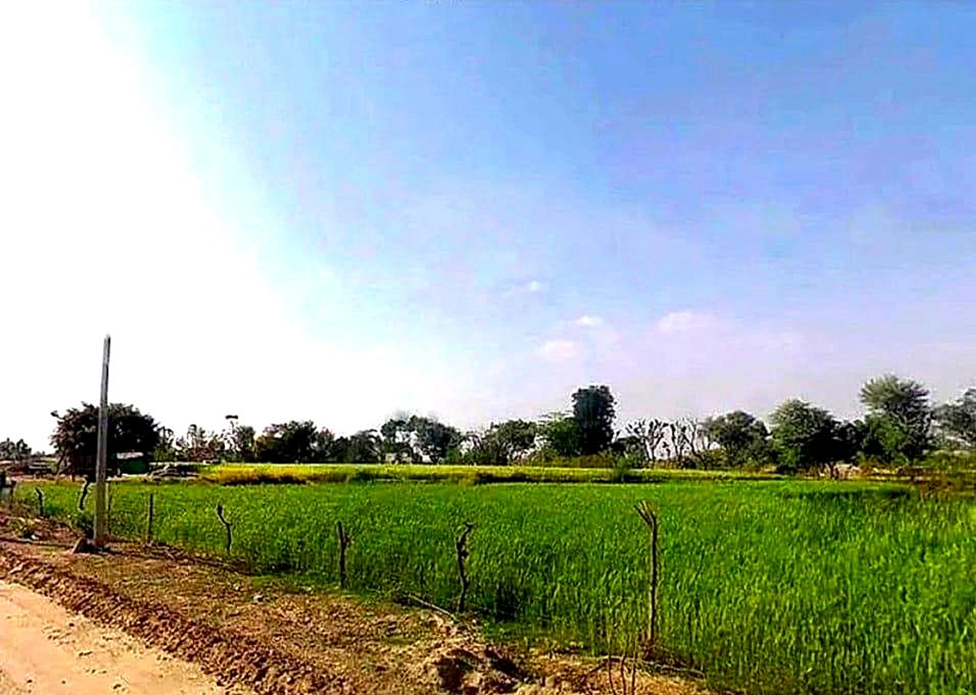 Bassi Naaga, Jaipur, NH-8, Ajmer Road, Jobner, Jobner, Rajasthan 303329, India