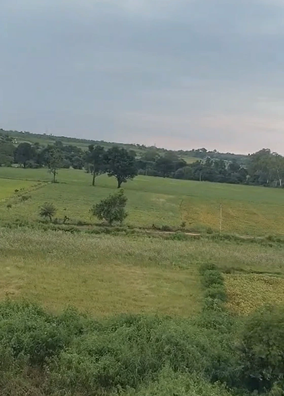 Rampur, Subarnapur, Odisha 767045, India - Photo 3