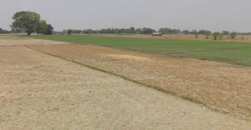 Dhablahardu, Madhya Pradesh 456550, India preview 2